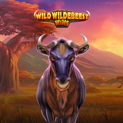 game